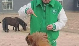 哈皮马最新爆料,揭秘娱乐圈幕后真相