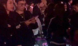 王思聪熊猫爆料最新消息,揭秘娱乐圈最新动态