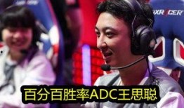 王思聪熊猫爆料最新消息,揭秘娱乐圈最新动态