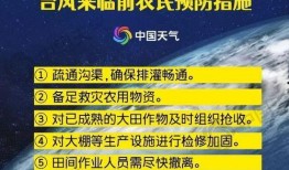 最新台风爆料新闻报道文章,揭秘即将来袭的超级风暴路径与影响”