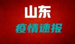 山东爆料最新消息,揭秘重大事件背后真相