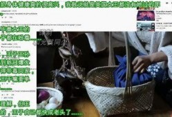 李子柒最新评价外网爆料,田园生活新风尚，网友热议不已